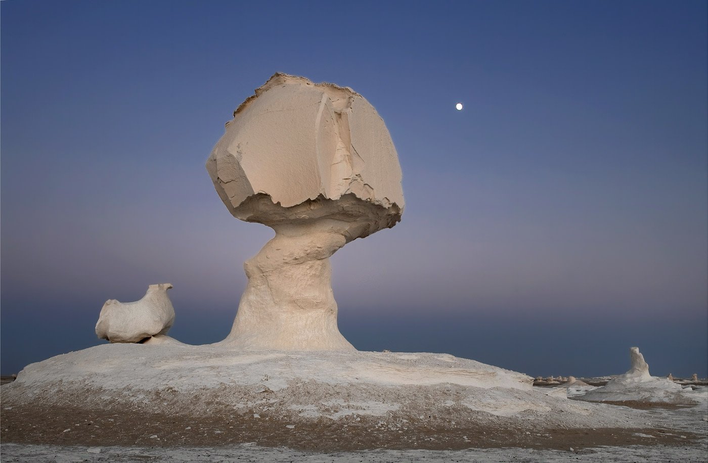 white desert dusk